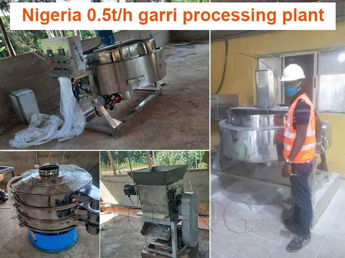 garri_plant